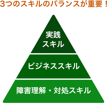 実践スキル、ビジネススキル、障害理解・対処スキルの3つのスキルのバランスが重要！